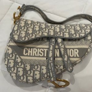 Gray Dior Saddle Bag oblique embroidery